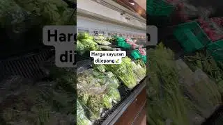 #japanstory #aesthetic #videoviral #reelsvideo #jepangvlog #anakrantau #sayuransehat #hargasayur