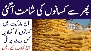 Sona dap nitro phase Khad price today Punjab Pakistan