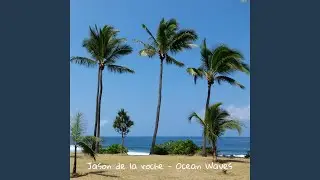 Ocean Waves
