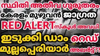 അതിതീവ്രമഴ RED ALERT|ഇടുക്കി മുല്ലപ്പെരിയാർ ജലനിരപ്പ്🙄|kerala news|kerala weather update|kerala rain