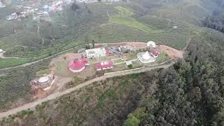 single tree temple