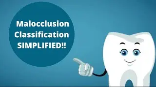 Incisors, Canines and Molars Malocclusion Classification