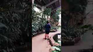 tropical realm and aye aye at chester zoo