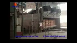 red clay bricks tunnel kiln for brick yard