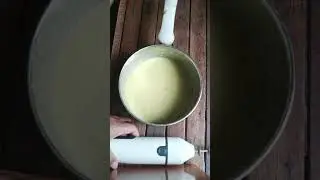 avocado (cake) bread
