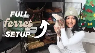 HOW TO SET UP YOUR FERRETS FIRST CAGE | CAGE TOUR 2025