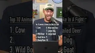 TOP 10 LARGEST ANIMALS Humans Can Take In A FIGHT! #shorts #top10 #list #animals #fight #ranking