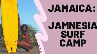 Jamnesia Surf Camp I Things to do in Kingston Jamaica