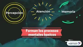 Procesos Mentales