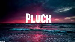 DMV07 - Pluck