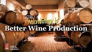 Microbiology Is&hellip;Better Wine Production