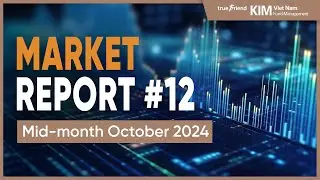 Market Report #12 | Mid-Month October 2024 | KIM Vietnam