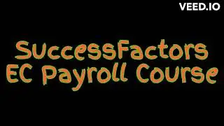 Success Factors EC Payroll Course