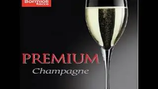 Бокалы Premium от Bormioli Rocco - Fidenza