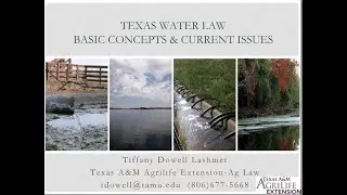 Texas Water Law: Basic Concepts & Current Issues