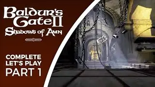 Давайте поиграем в Baldur's Gate 2: Shadows of Amn &mdash; Часть 1 &mdash; Ностальгия настоящая