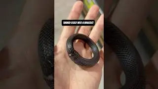 Настоящий ЖИВОЙ браслет со змеей!! 🐍