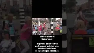 School Buses In Netherlands | Cycling Friendly Environment
