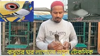 বন্ধরা আপনারা কবুতর ঘর লাগানো নতুন টেকনিক।