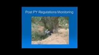 Pyrethroid Detections in Urban Surface Waters Post Regulations