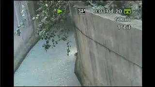 Flowing Water (Irrigation Canal Video 3) - MiniDV Recording