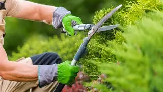 5.1 Garden Safety