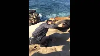 Seal Does Not Want to Take Selfie