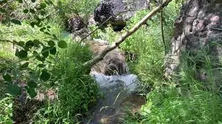 Babbling Brook Relaxation Study White Noise - 6 hr.