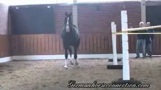 KVA.Rudi.Likotoxx.Legat.Goldjunge.wmv