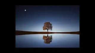Melody for Healing the Body and Chakras: Calm Your Mind and Improve Health. 528 Hz