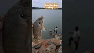 Fishing 🎣 in Gandipet lake #2025 #hyderabad #Fishing #Gandipet
