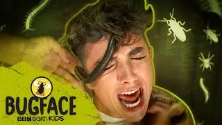 Lewys Ball takes on a GIANT African Millipede I  Bugface I BBC Earth Kids
