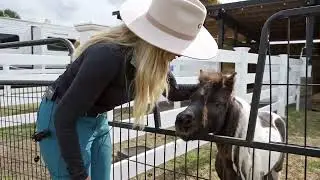Blue Ridge Farms Intro Tour