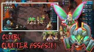 6 ELF + 4 DRUID COUNTER ASSASIN - CHESS RUSH