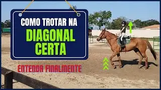 Como trotar na diagonal certa