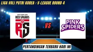 LIVE 🔴 Megawati ● Red Sparks VS Pink Spiders   V League Voli Putri Korea 2024 2025 #redsparks