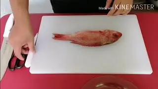 Limpieza y Fileteado de Pargo rojo