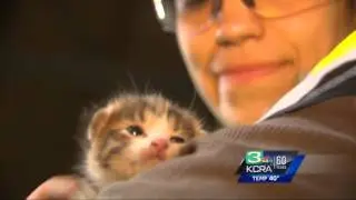 Kitten Rescued From Dump Conveyor Belt