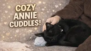 Rainy Day on the Couch With My Cat ☔🐈&zwj;⬛ | Annie 