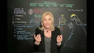Solution Focused or Emotion Focused Hypnotherapy