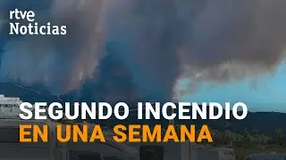 INCENDIO TARIFA: El FUEGO obliga a DESALOJAR a m&aacute;s de 2.000 PERSONAS de la ZONA de PLAYA | RTVE