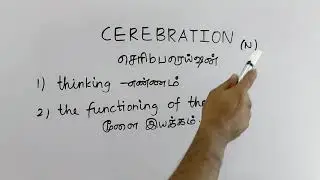 CEREBRATION tamil meaning/sasikumar