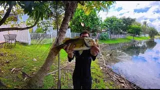 Fresh water fishing in Miami for what ever bites