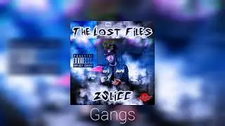 2Slicc - Gangs - The Lost Files - 2021