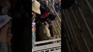 Head down, eyes closed, can&rsquo;t lose! #bullriding #rodeo #fridaynightlights #bewild #thewildbearing