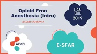 e-sfar 2019 - Opioid Free Anesthesia (intro)