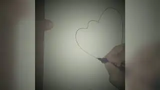 Heart- 10th science record