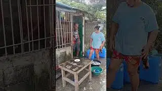 Hindi mo Kasi mabitawan Yan hawak mo #depanottv #rudepanottv  #zanderpolsotinvlogs