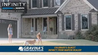 Are Infinity from Marvin the Best Replacement Windows? | Gravina's Window Center of Littleton