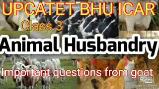 Animal Husbandry For UPCATET, BHU, ICAR, UPPSC | Class-3 | Goat Important question || By Kuldeep Sir